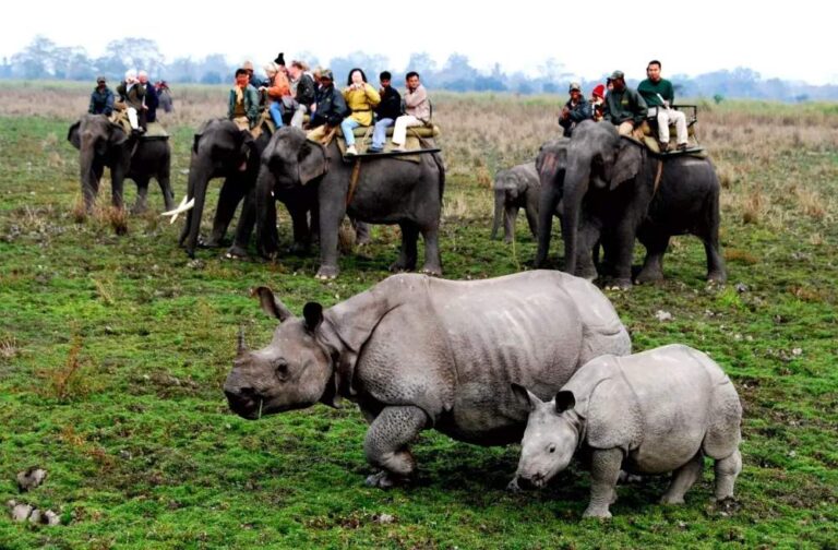 A Journey Through Meghalaya, Kaziranga, and Sikkim